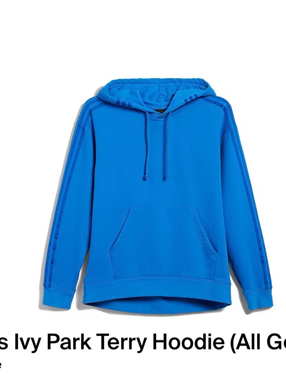 IVY PARK Men’s Electric Blue Hooded Terry Sweatshirt
